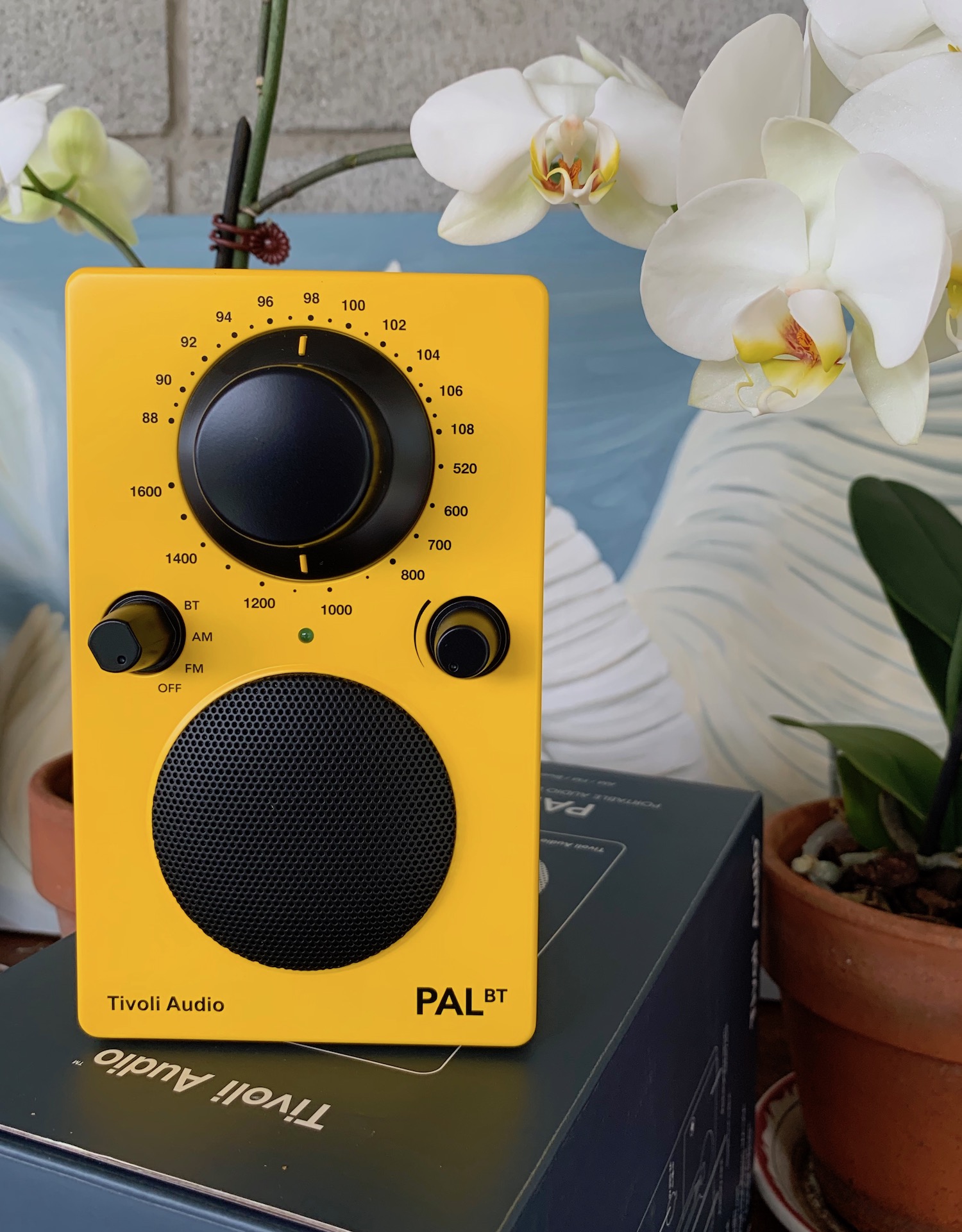Tivoli Audio PAL BT Totally Wired