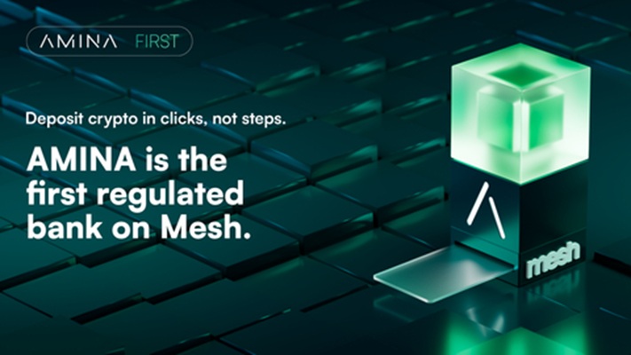 AB347_-_AMINA_First_Mesh-Banner_1784185676