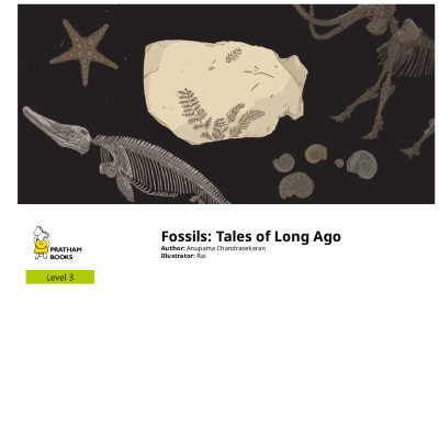 Fossils: Tales of Long Ago