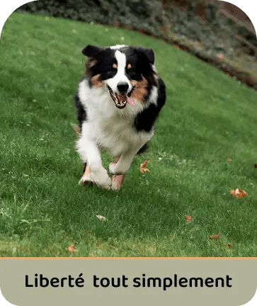 valeurs liberté
