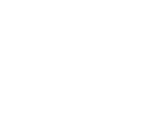 LOUPETIS Toulouges