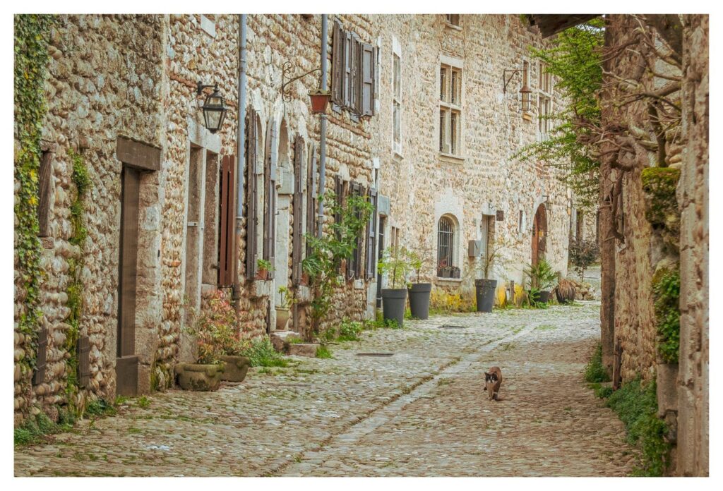 Ein Katze in der Gasse....