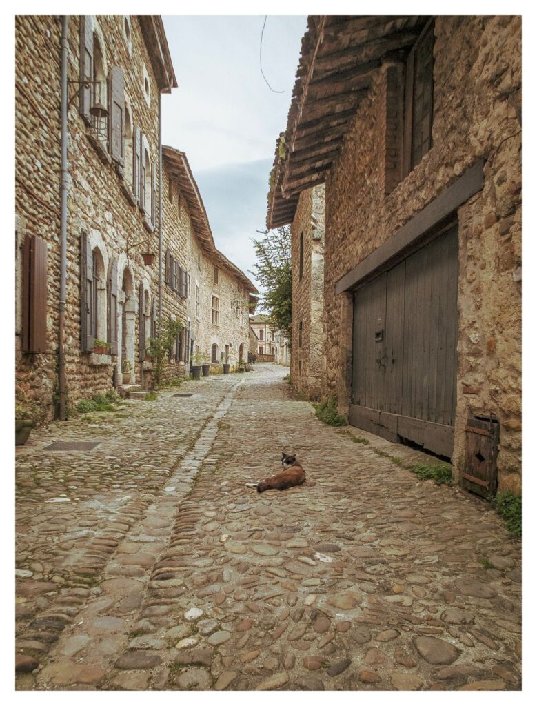 .... die es sich gutgehen lässt!