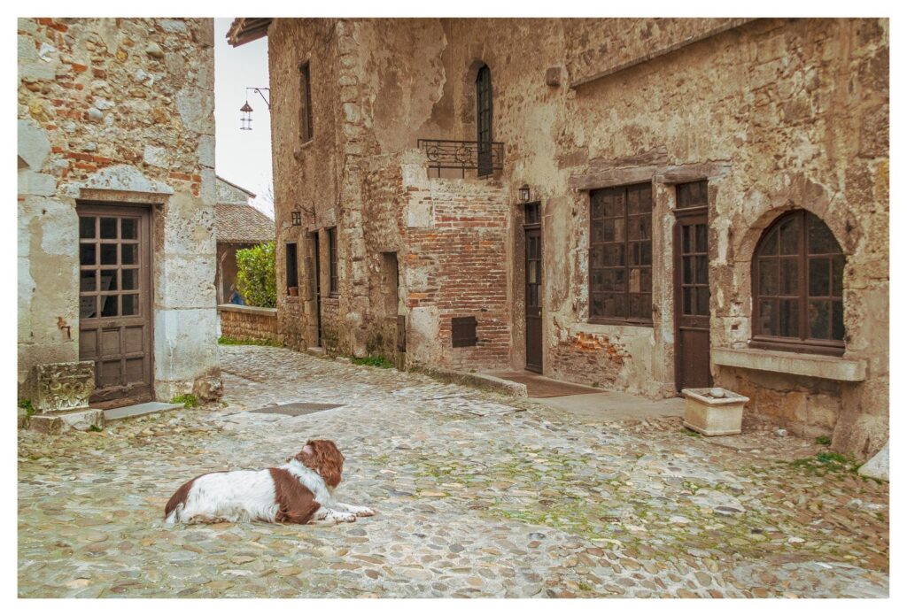Warten auf den besten Freund von der Schule