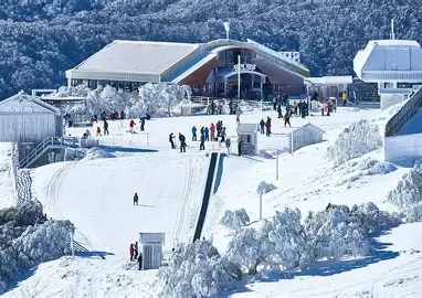 Mt Buller