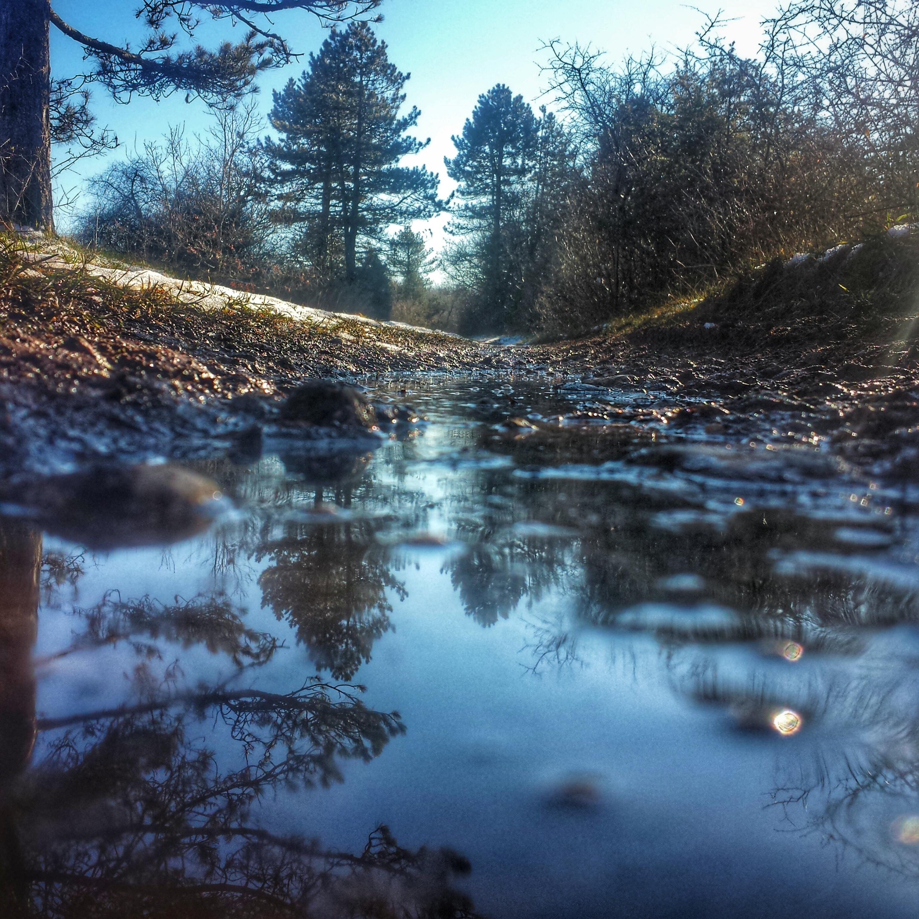 Puddle le long du sentier de Baulme la Roche janvier