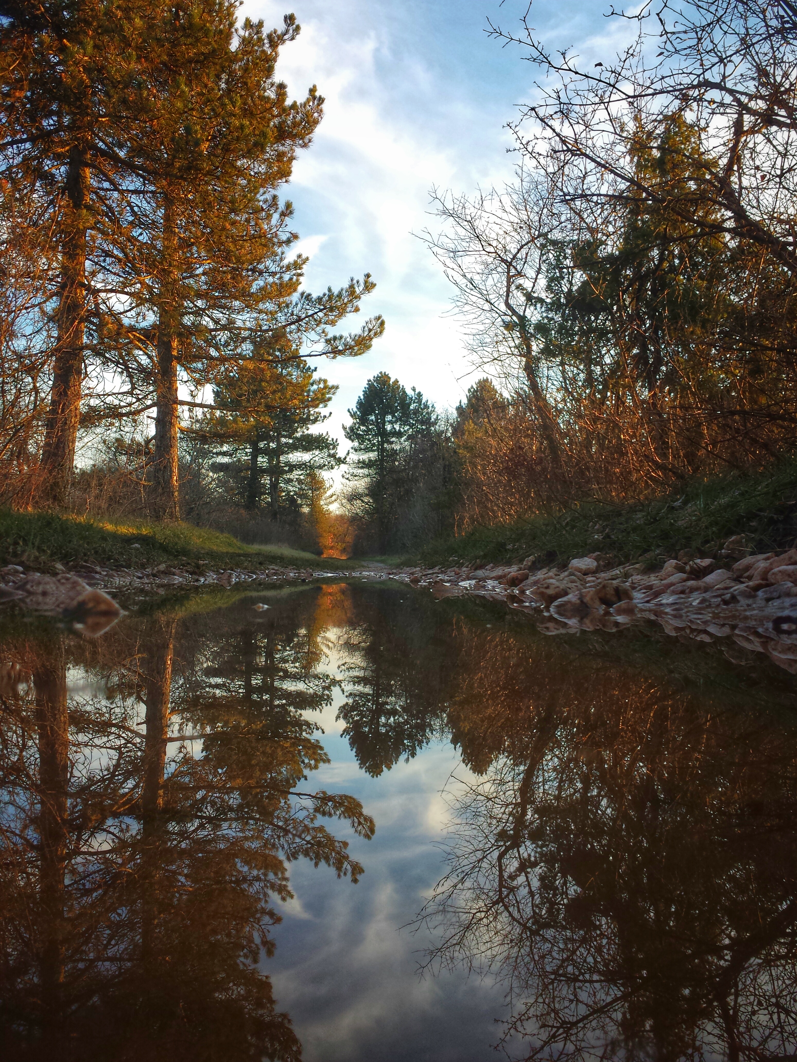 Puddle le long du sentier de Baulme la Roche février