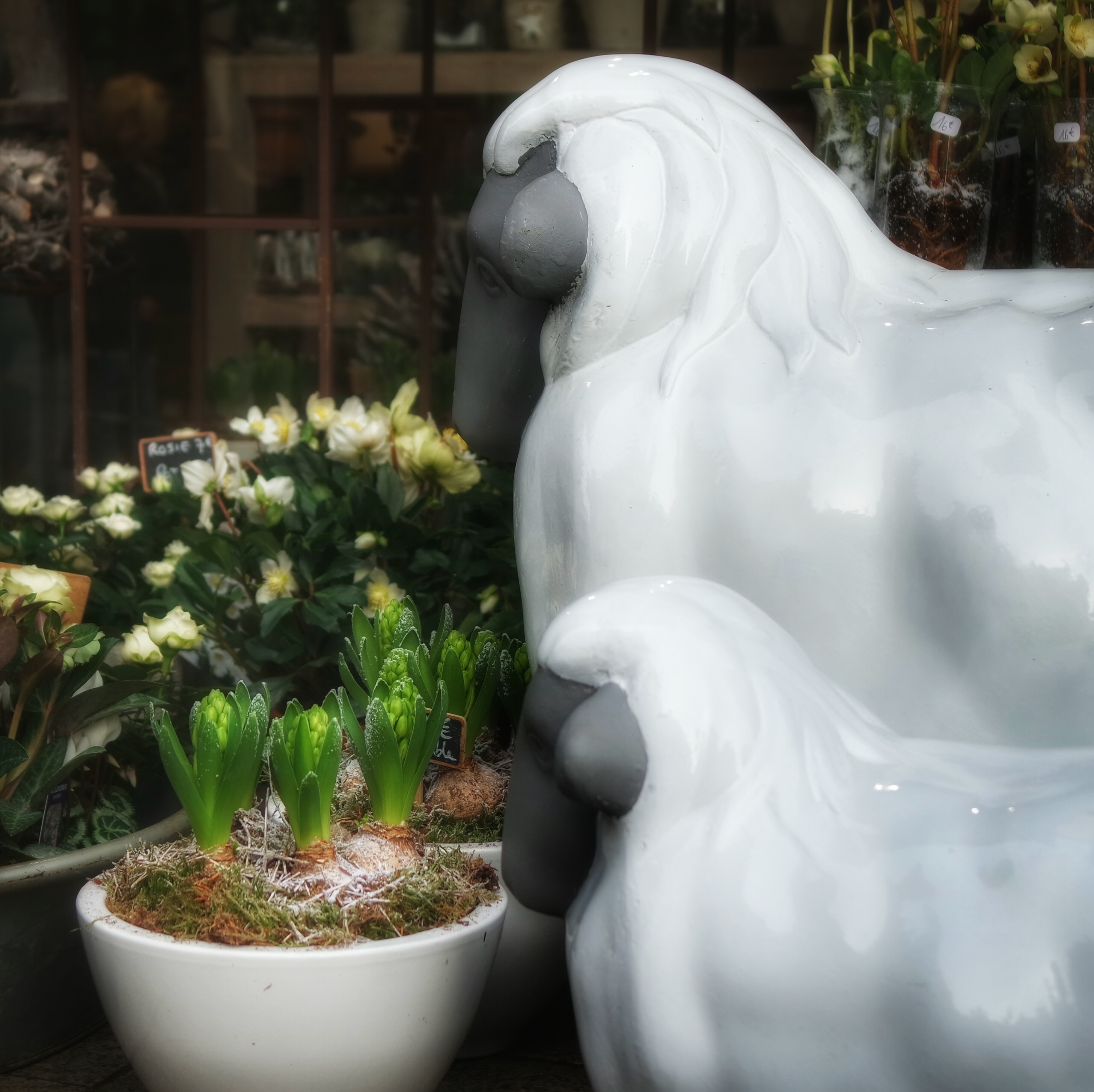 devanture fleuriste centre ville Caen