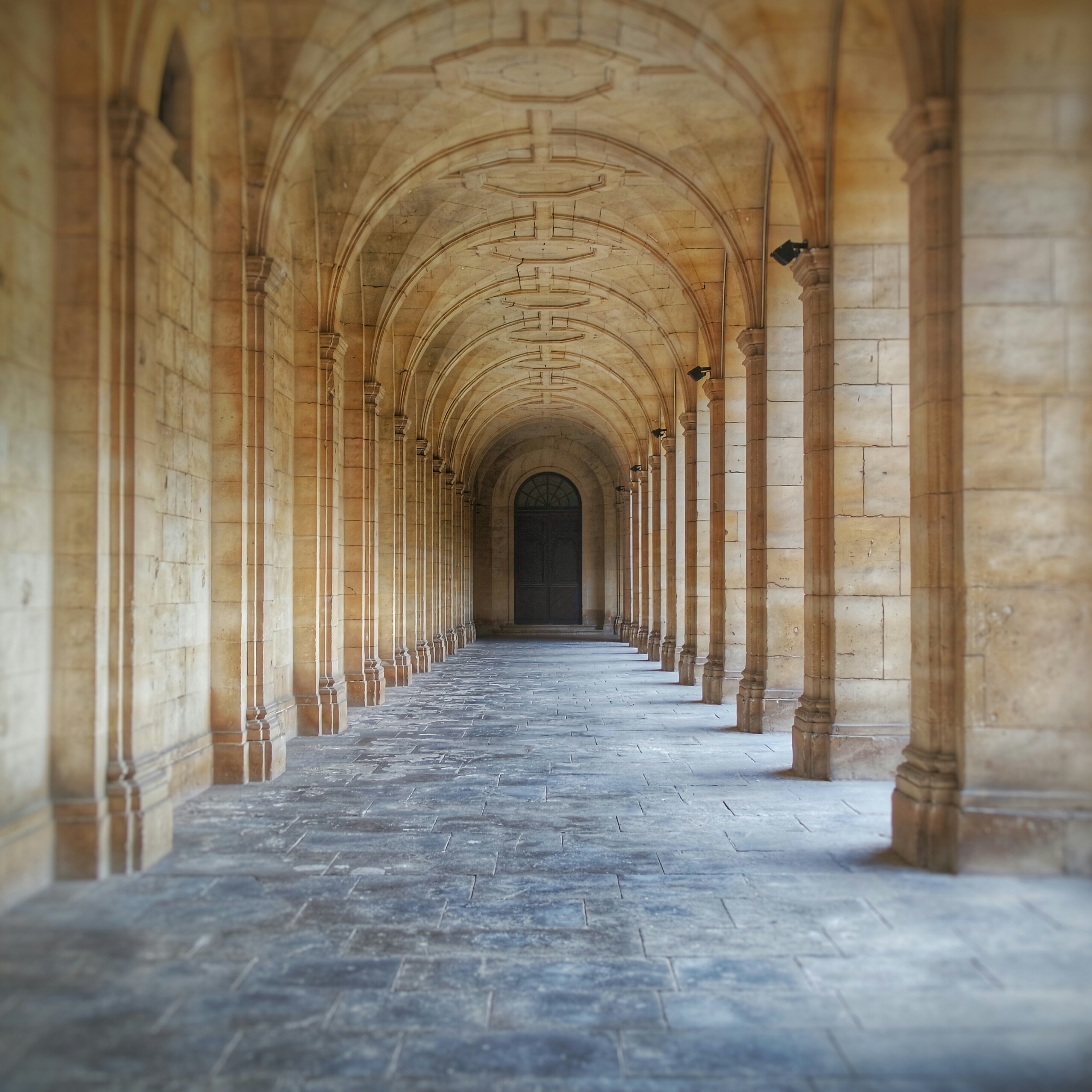Abbaye aux Hommes cloitre