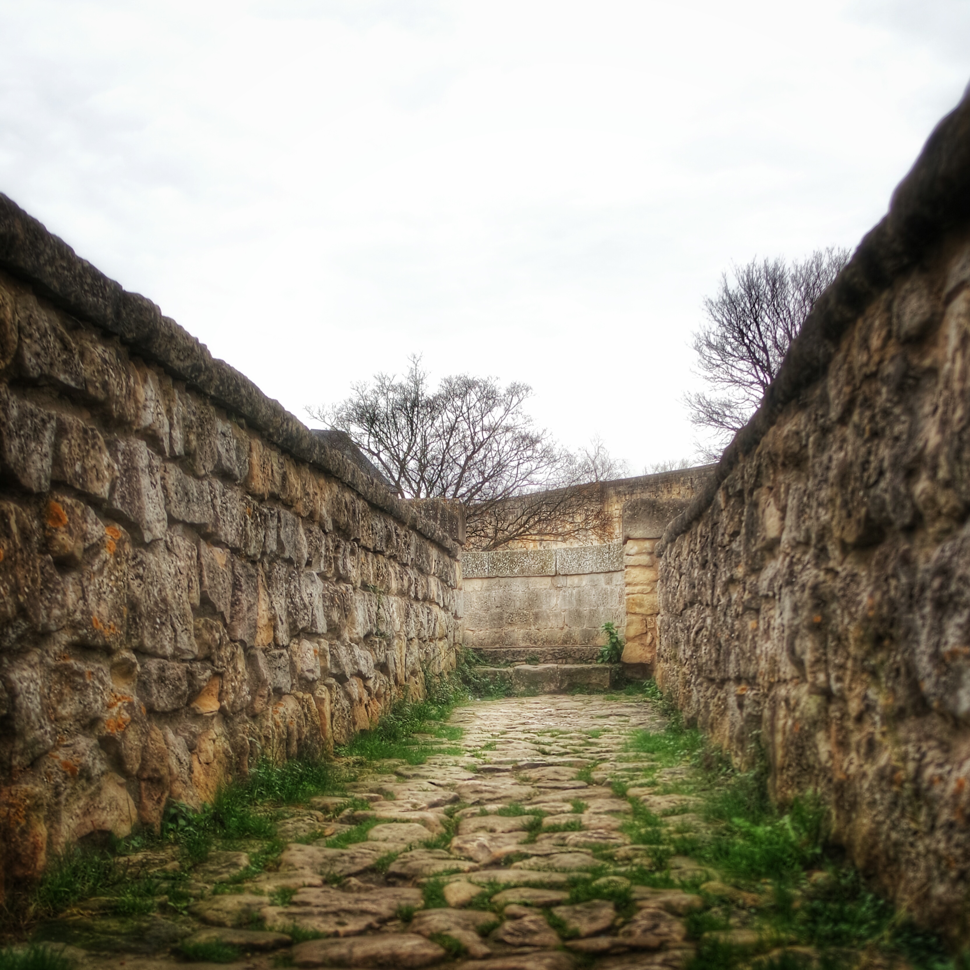 rempart château ducal Caen