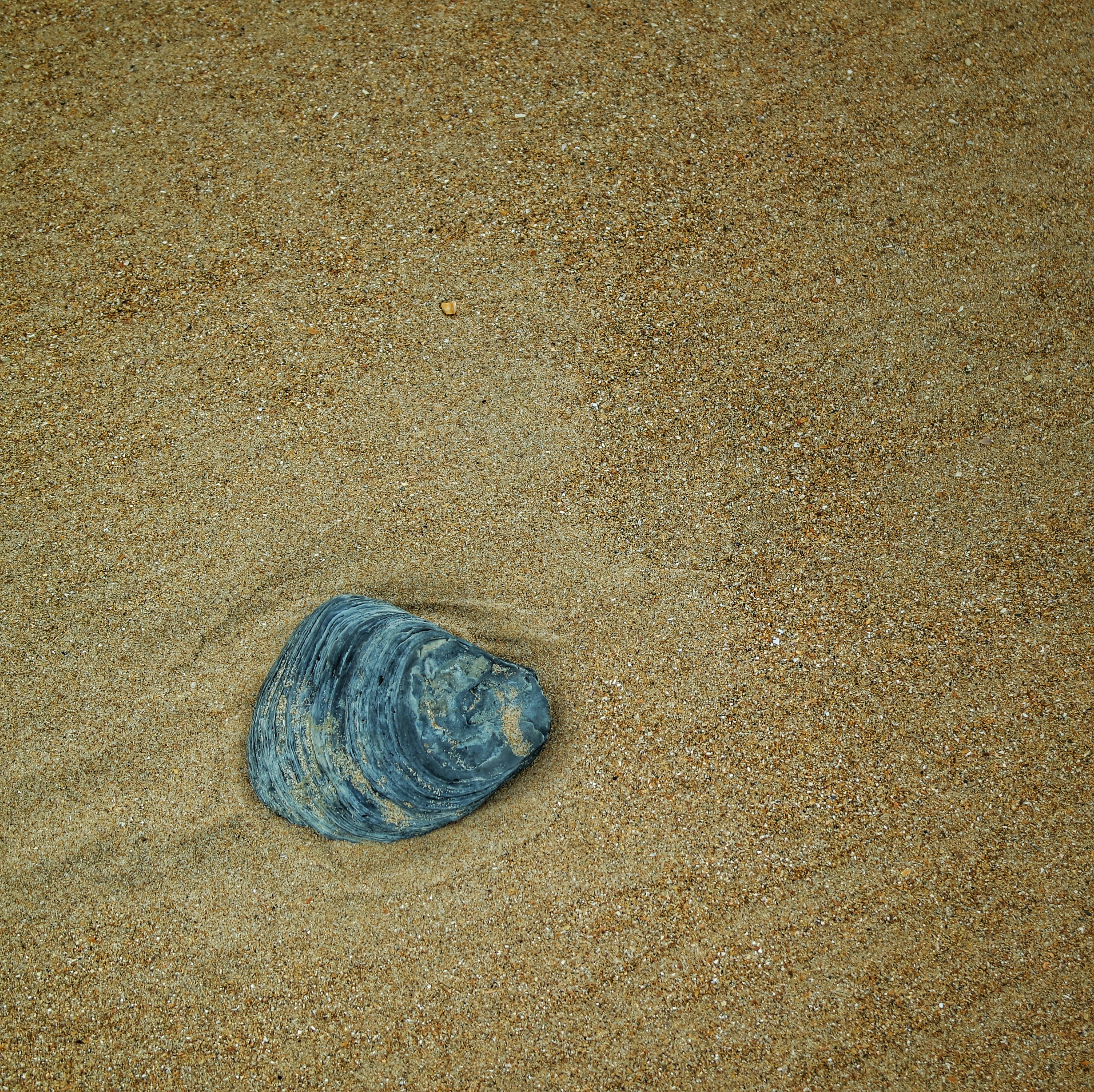 Saint Laurent sur Mer, Omaha beach