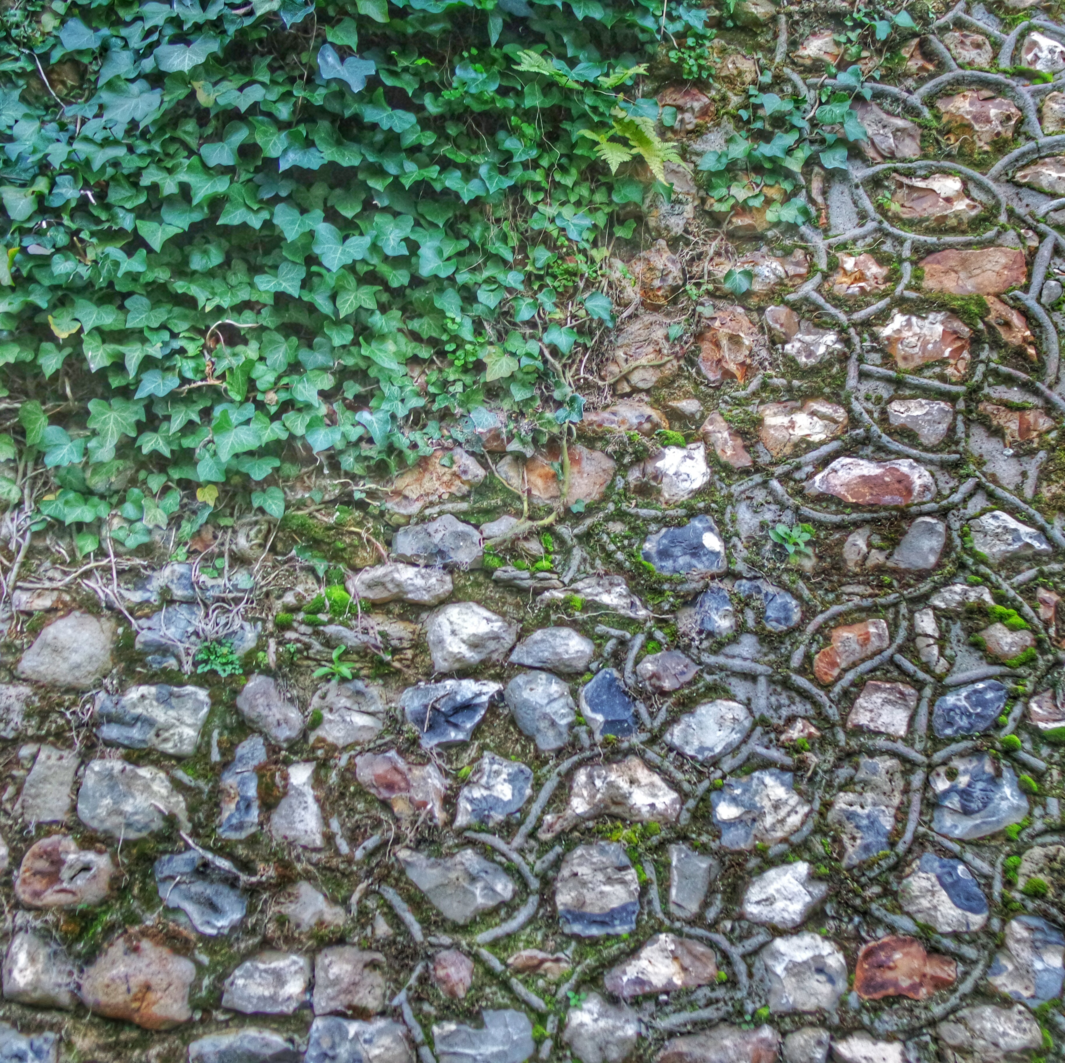 Parcours Au fil de l'eau Honfleur