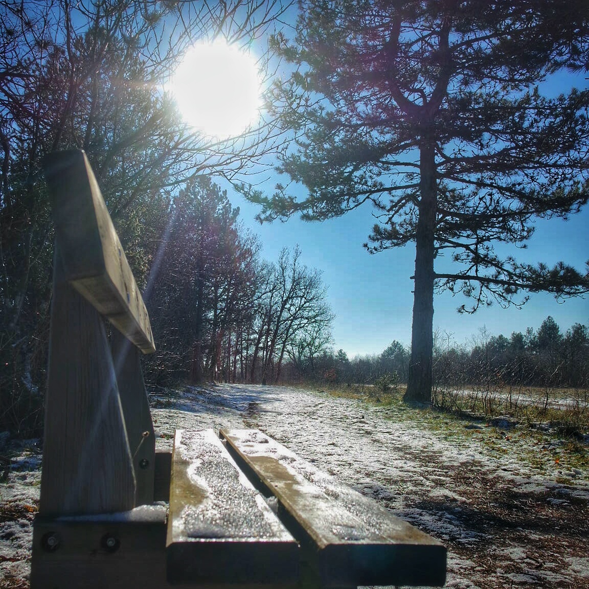 sentier Baulme la Roche janvier