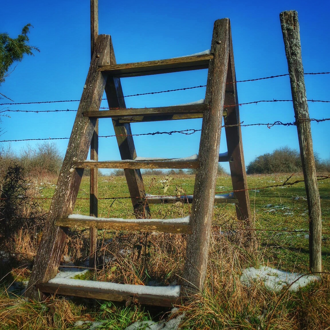 le long du sentier Baulme la Roche janvier