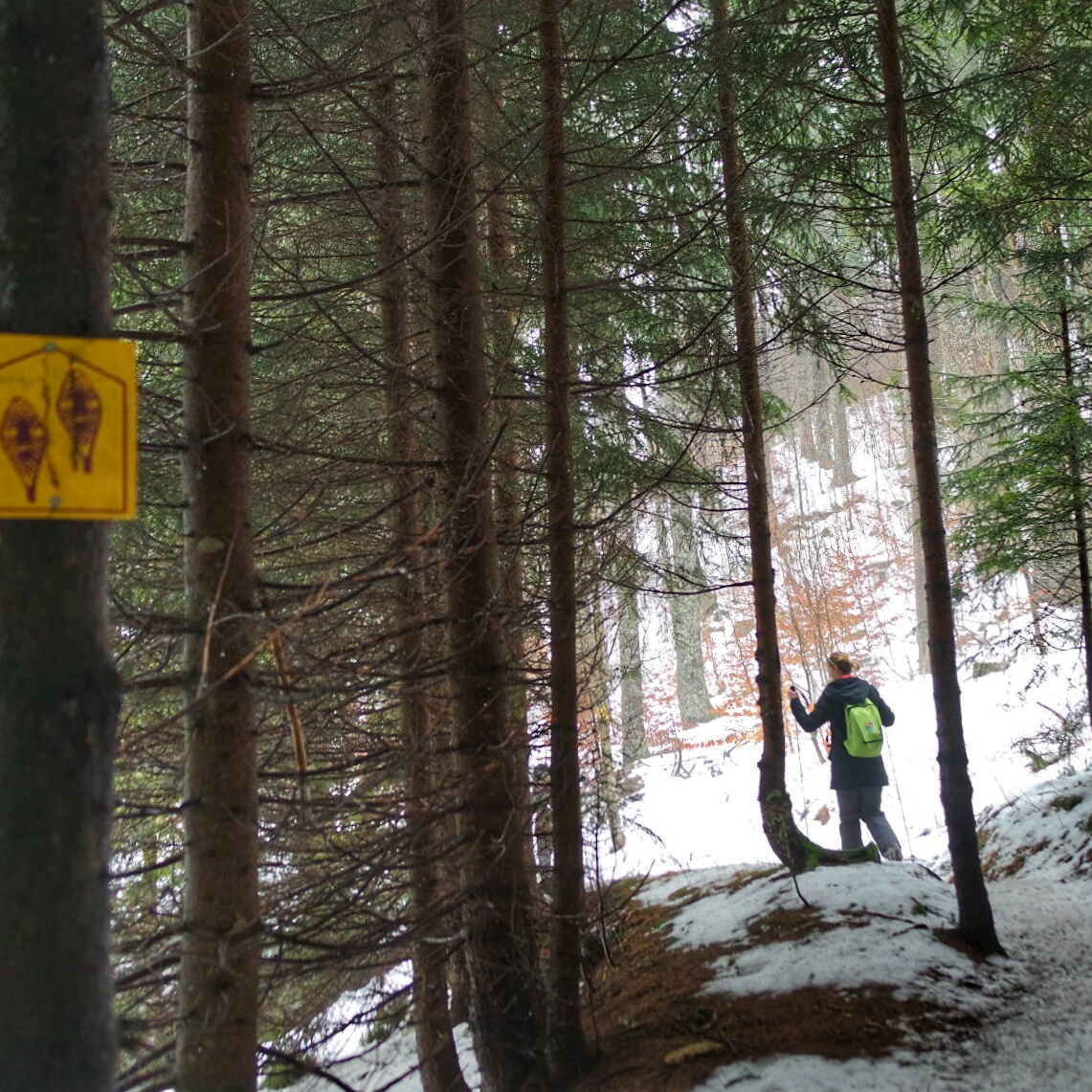 crapahuter le long du sentier les baganiers, Bellefontaine