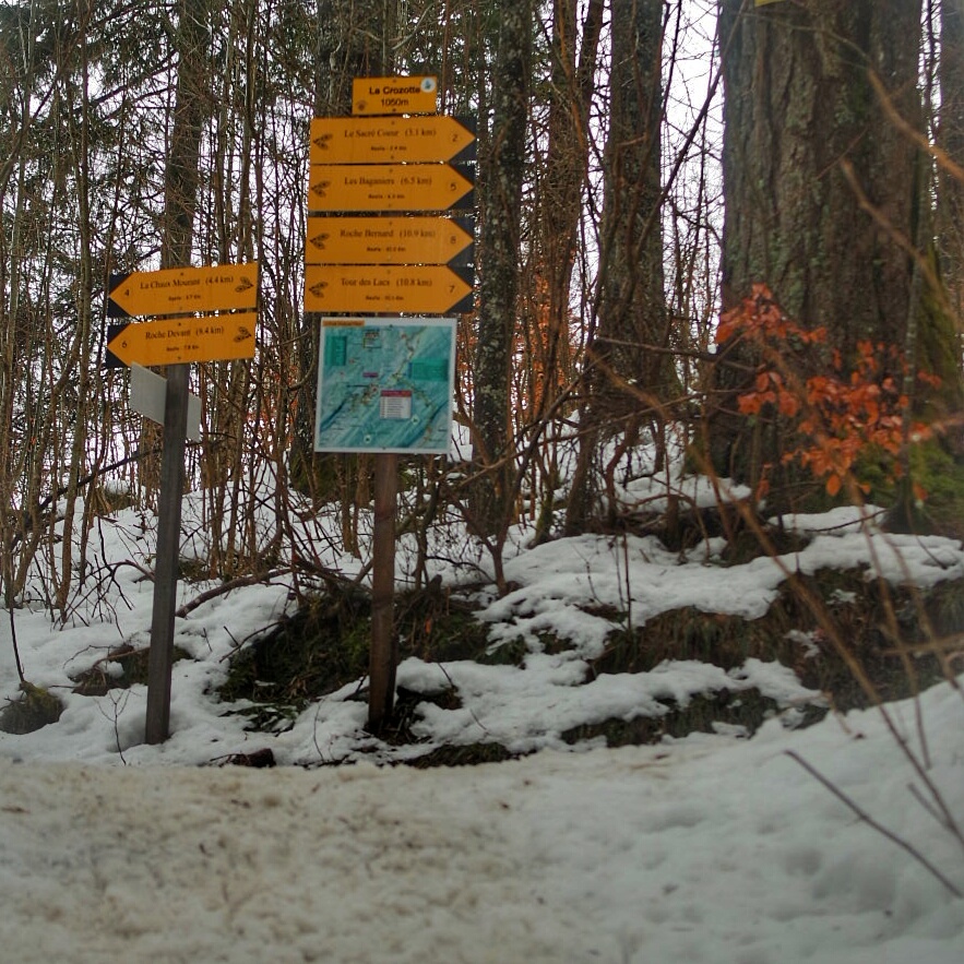 Le long du sentier les baganiers, Bellefontaine
