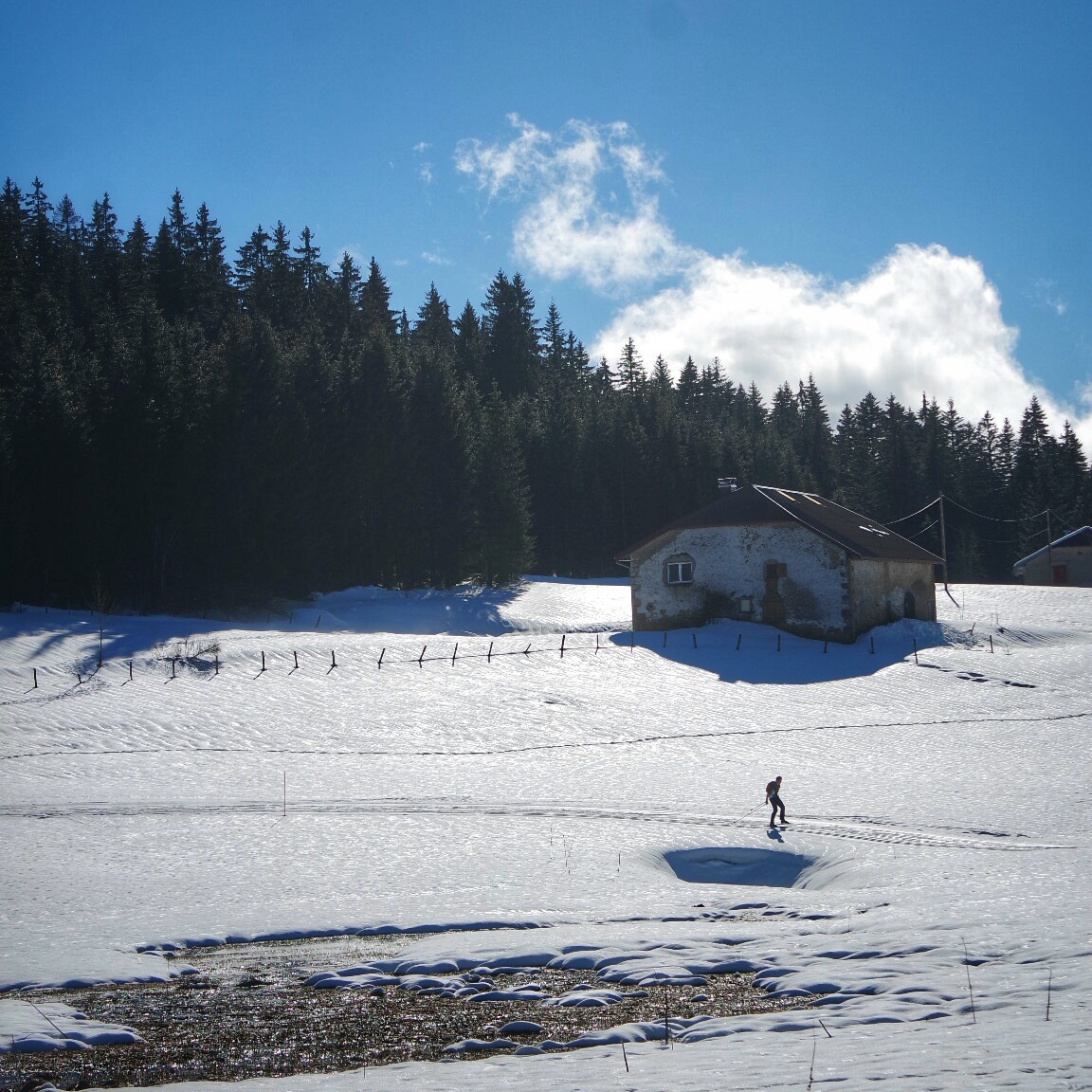 sentier les baganiers sous le soleil , Bellefontaine
