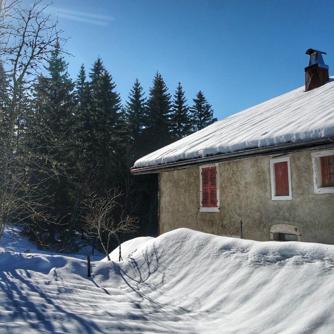 sentier les baganiers sous le soleil , Bellefontaine