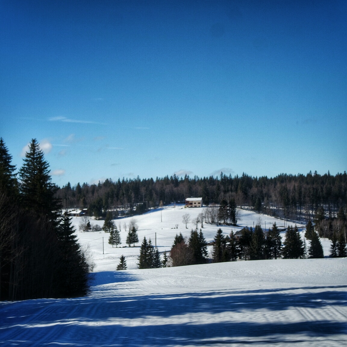 paysage sentier les baganiers sous le soleil , Bellefontaine