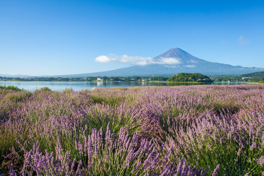 東京富士山5日輕旅行｜忍野八海&times;全景纜車&times;合掌村&times;御殿場OUTLETS&times;迪士尼 @去旅行新聞網