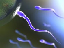 Le zinc pour la fertilité et pour éjaculer plus ça marche ?