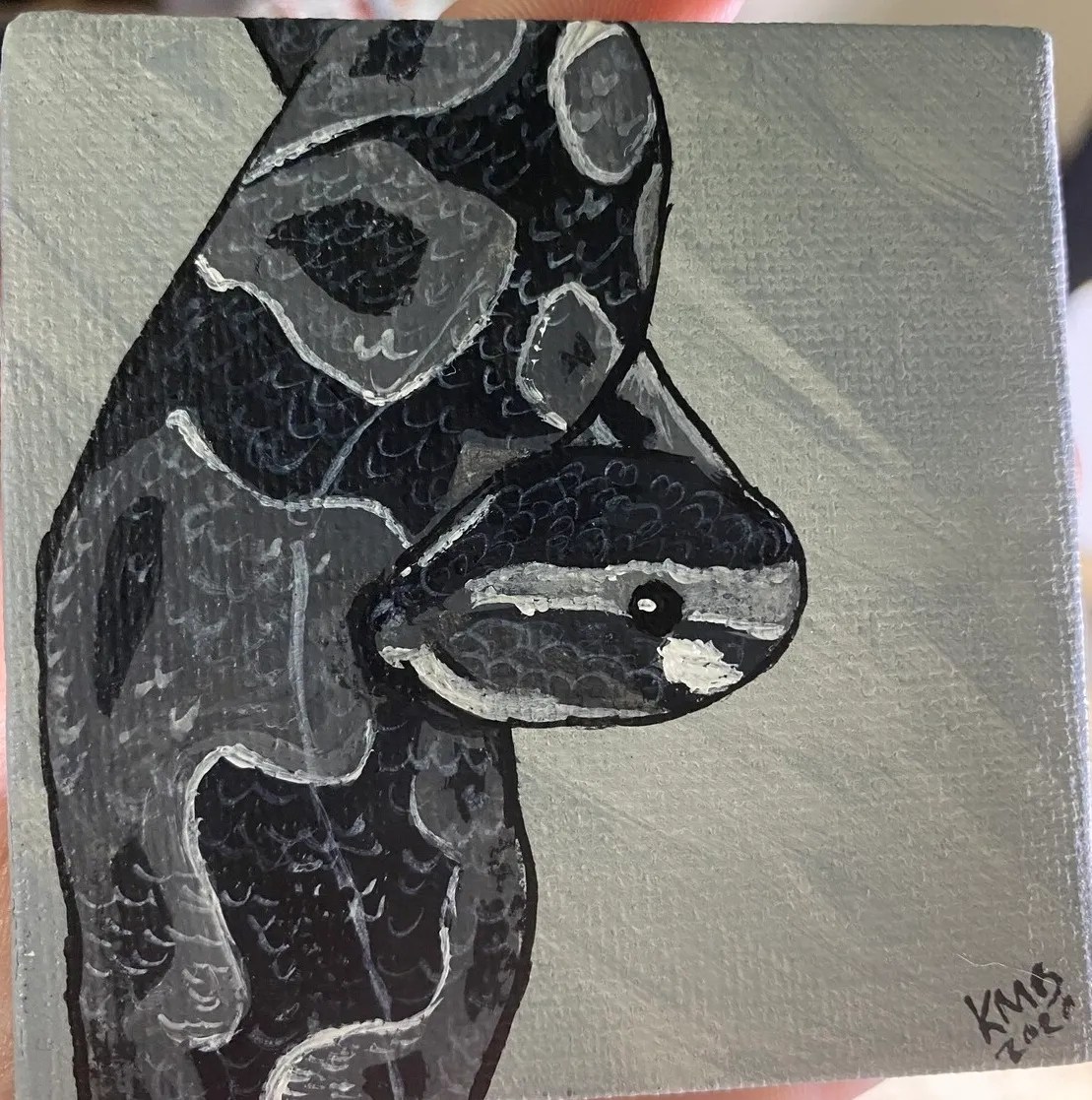Snake Portrait