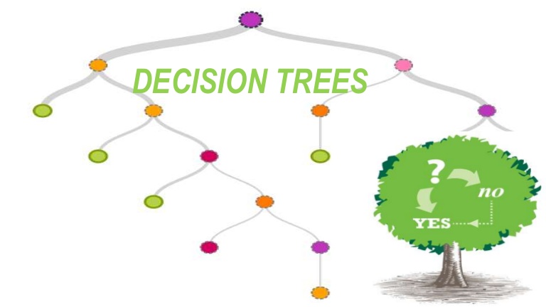 Decision Tree Algorithm