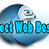 Perfect Web Designs Website Development and Search Engine Optimization