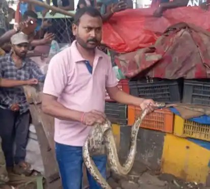 जमशेदपुर में अजगर ने युवक की गला घोंटकर हत्या कर दी