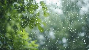 Jamshedpur Enjoys Relief from Heat as Rains Arrive