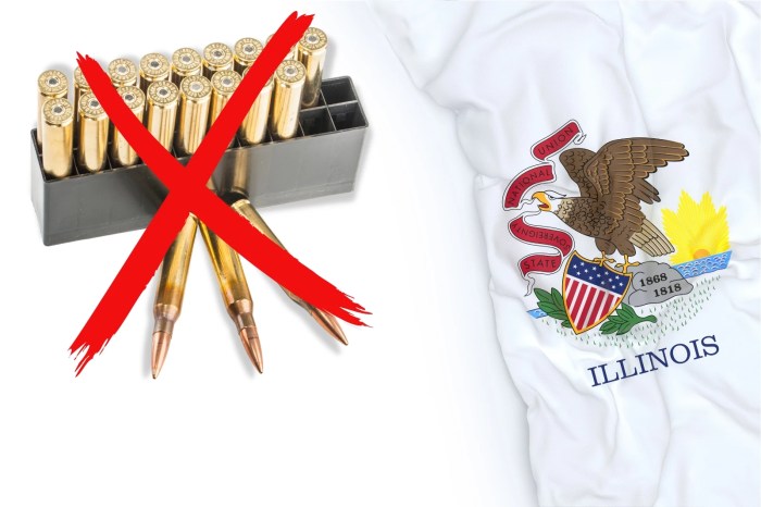Are incendiary rounds legal in illinois