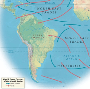 Is Global History Suitable for Undergraduates?