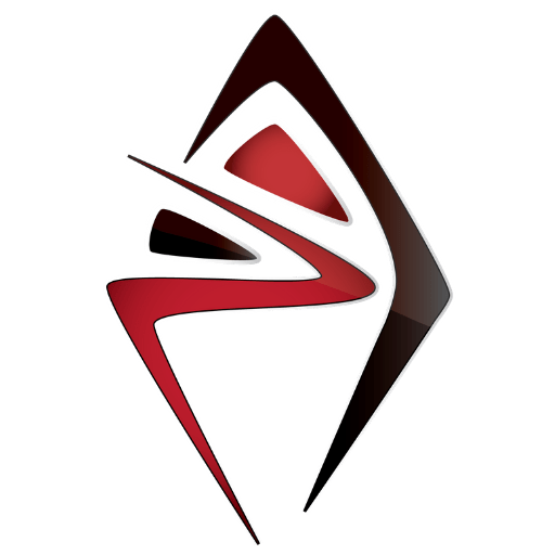 The Performance Academy logo
