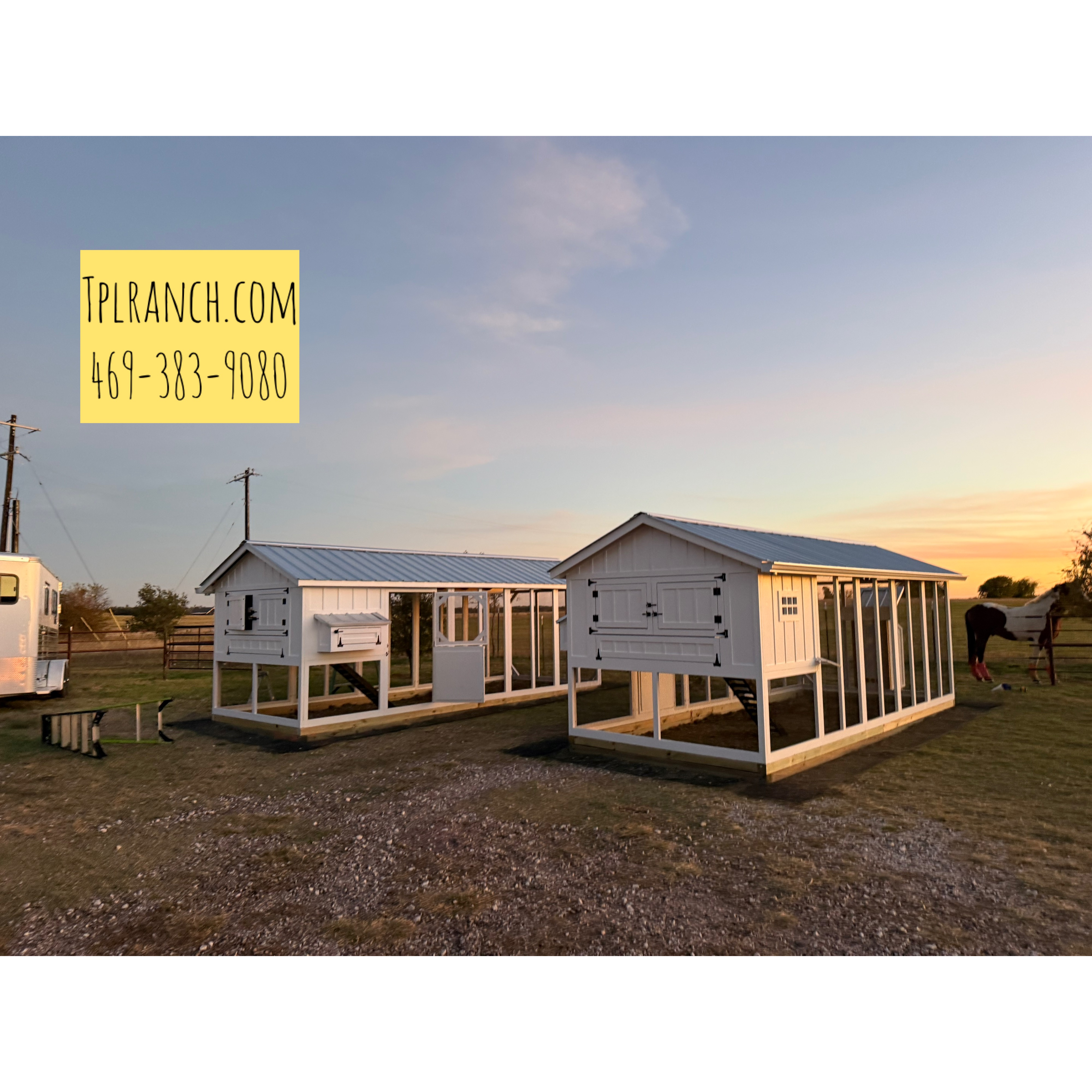 Urban Style Chicken Coop (8 ft wide)