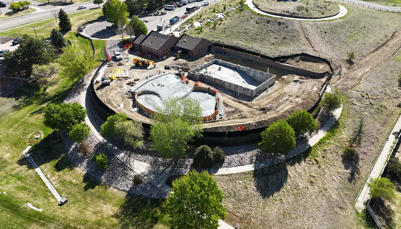 Lookout Pool (May Update)