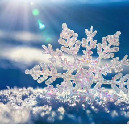 7 Sinif Ingilizce Ders Kitabi Cevaplari Bilim Kultur Yayinlari Cevabiniz Burda