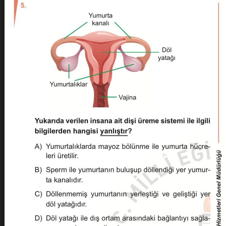 Kardes Payi Dol Yatagi Kaynakli Youtube