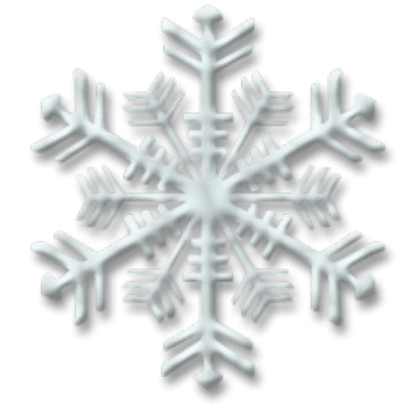 Snowflake NoFilter