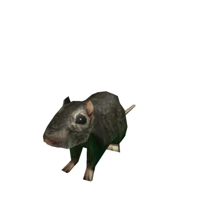 Asset Preview NoFilter
