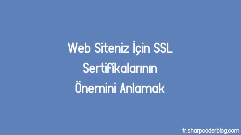 Understanding The Importance Of Ssl Certificates For Your Website Sharp Coder Blog - Download Incredible Ocean Illustration | 4K