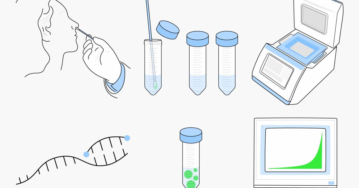 Eine vorlage finden sie hier: Here's how coronavirus lab tests really work, and why they
