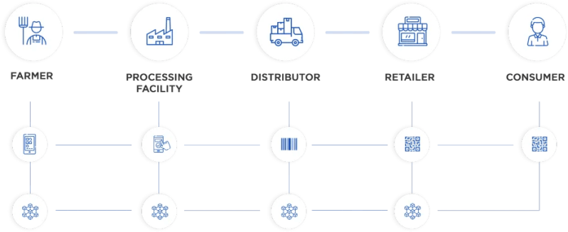 Blockchain Traceability For Emerging D2c Brands - Premium Ocean Image Gallery - Full HD
