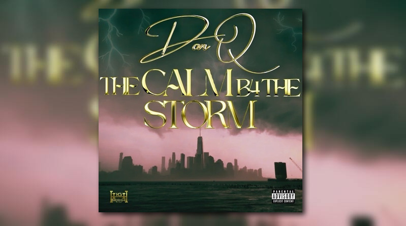 Don Q – Took A Risk [Audio]