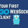 Golang WebSocket Client