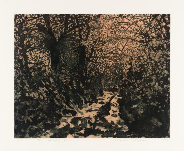 The Darkling Thrush by Norman Stevens, Intaglio on paper, 1977-9