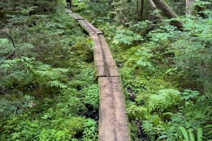 Appalachian Trail Maine bog boards