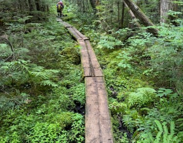 Appalachian Trail Maine bog boards