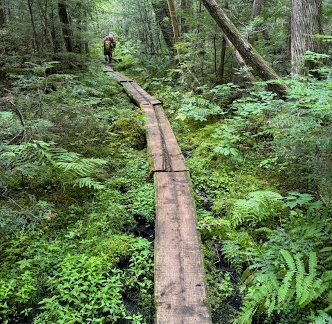 Appalachian Trail Maine bog boards