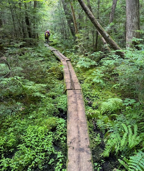 Appalachian Trail Maine bog boards