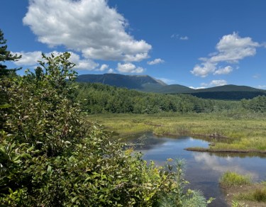 Baxter State Park, Abol Bridge